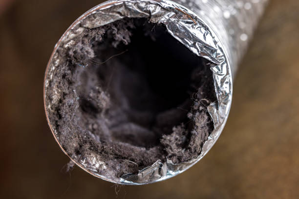 Best Air Duct Cleaning Near Me  in Leslie, MI