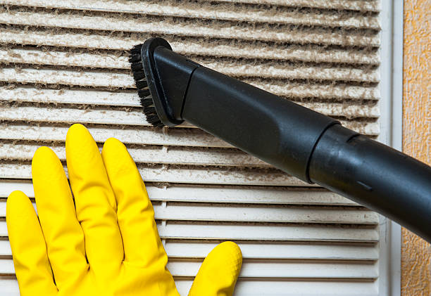 Best Affordable Air Duct Cleaning  in Leslie, MI